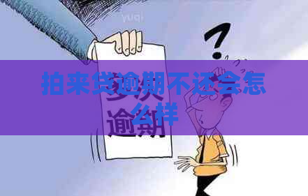 拍来贷逾期不还会怎么样