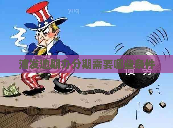 浦发逾期办分期需要哪些条件