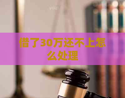 借了30万还不上怎么处理