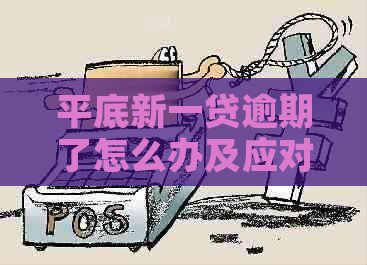 平底新一贷逾期了怎么办及应对措