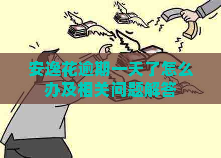 安逸花逾期一天了怎么办及相关问题解答