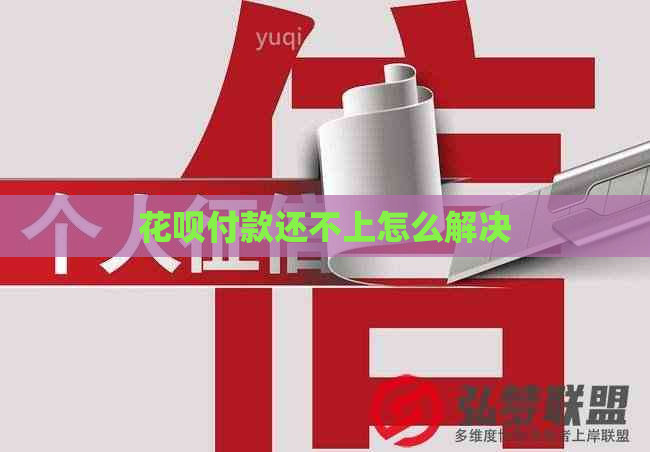 花呗付款还不上怎么解决