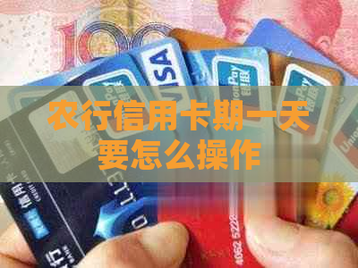 农行信用卡期一天要怎么操作