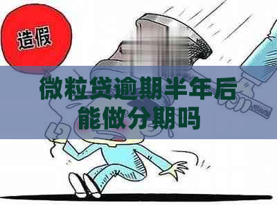 微粒贷逾期半年后能做分期吗