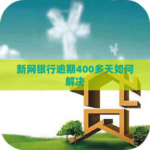 新网银行逾期400多天如何解决