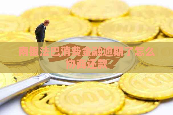 南银法巴消费金融逾期了怎么协商还款