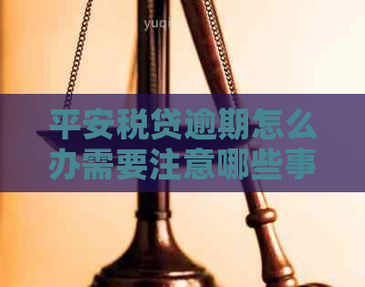 平安税贷逾期怎么办需要注意哪些事项