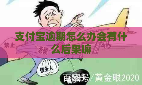 支付宝逾期怎么办会有什么后果嘛