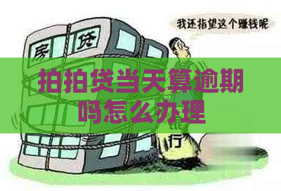 当天算逾期吗怎么办理