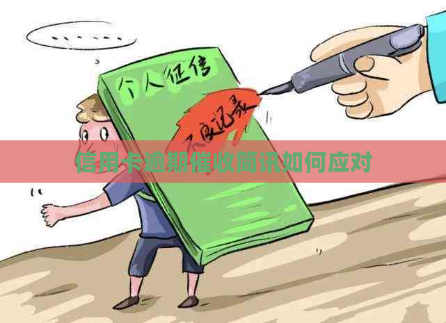 信用卡逾期简讯如何应对