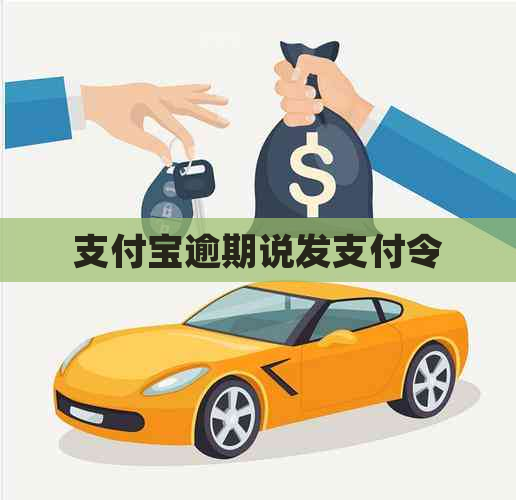 支付宝逾期说发支付令