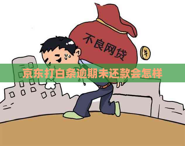 京东打白条逾期未还款会怎样