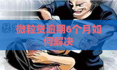 微粒贷逾期6个月如何解决