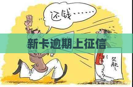 新卡逾期上