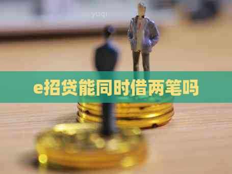 e招贷能同时借两笔吗