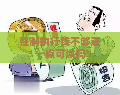 强制执行钱不够还一点可以吗