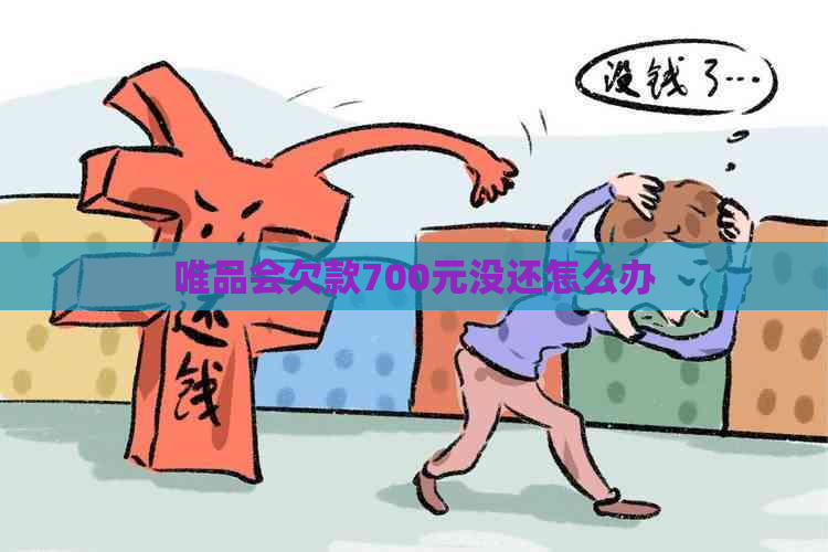 唯品会欠款700元没还怎么办