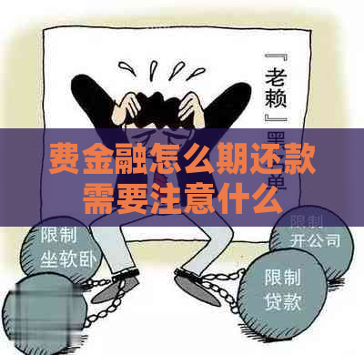 费金融怎么期还款需要注意什么