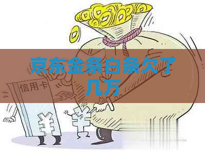 京东金条白条欠了几万
