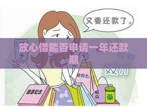 放心借能否申请一年还款期
