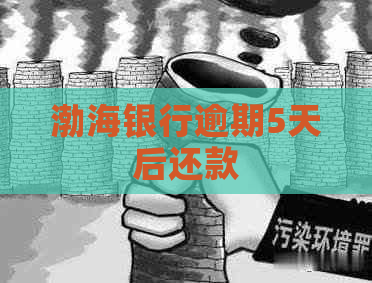 渤海银行逾期5天后还款