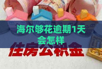 海尔够花逾期1天会怎样