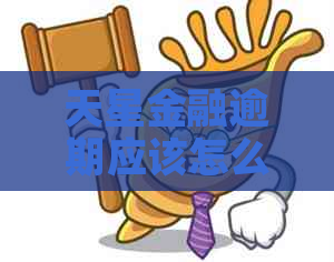 天星金融逾期应该怎么办