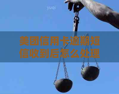 美团信用卡逾期短信收到后怎么处理