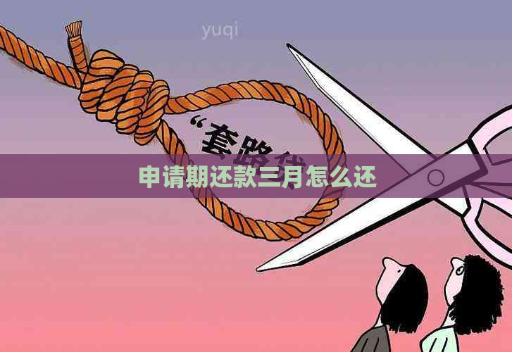 申请期还款三月怎么还
