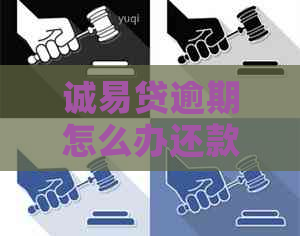 诚易贷逾期怎么办还款更方便