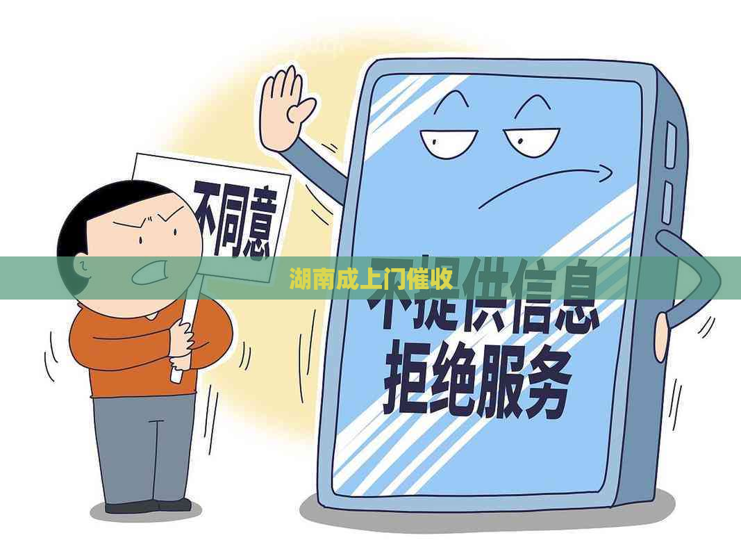湖南成上门