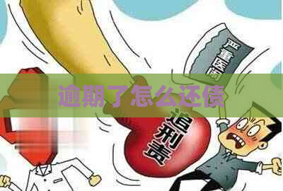 逾期了怎么还债