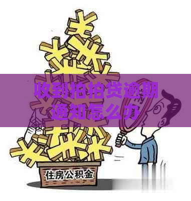 收到逾期通知怎么办