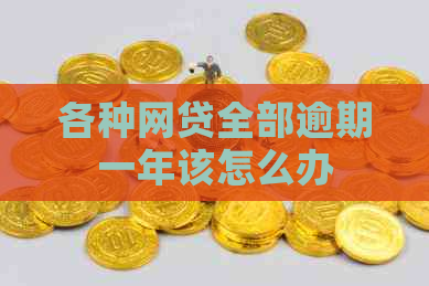 各种网贷全部逾期一年该怎么办
