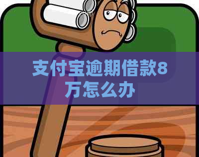 支付宝逾期借款8万怎么办