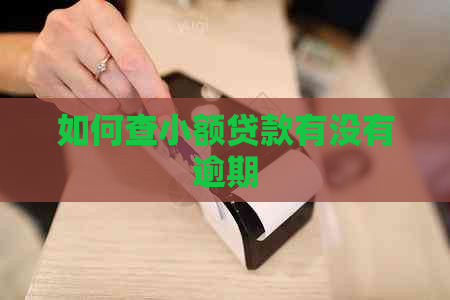 如何查小额贷款有没有逾期