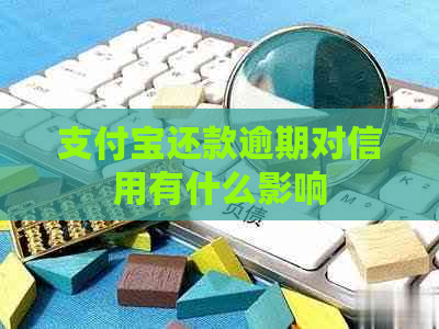 支付宝还款逾期对信用有什么影响