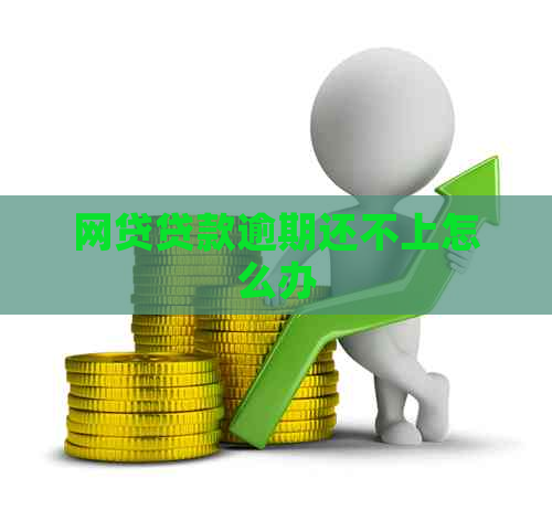 网贷贷款逾期还不上怎么办