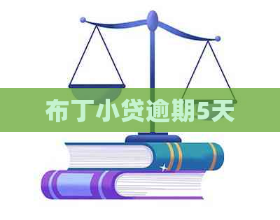 布丁小贷逾期5天