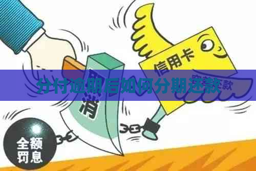 分付逾期后如何分期还款