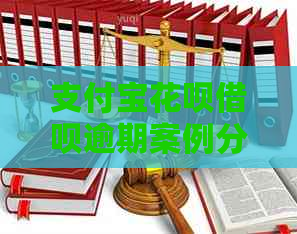 支付宝花呗借呗逾期案例分析