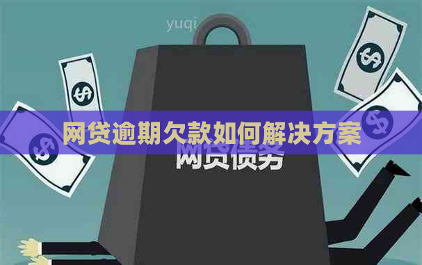 网贷逾期欠款如何解决方案