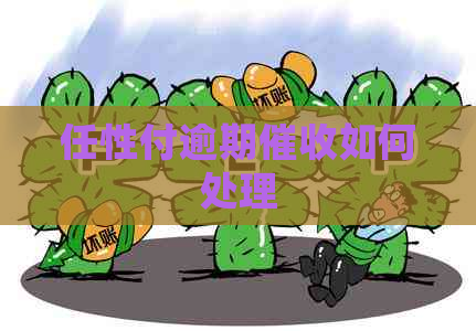 任性付逾期如何处理