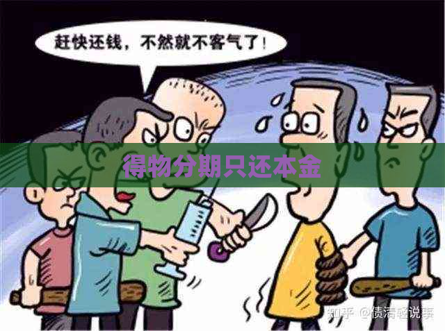 得物分期只还本金