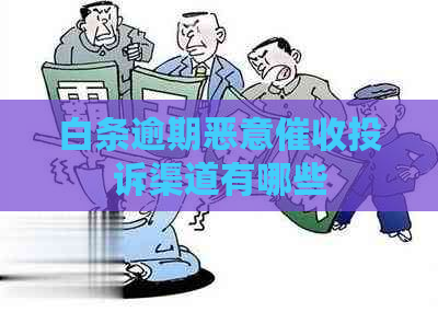 白条逾期恶意投诉渠道有哪些