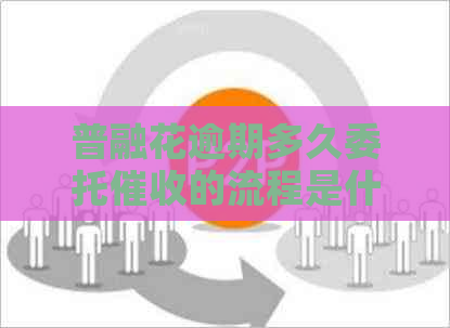 普融花逾期多久委托的流程是什么
