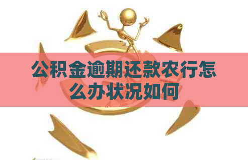 公积金逾期还款农行怎么办状况如何