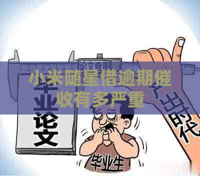 小米随星借逾期有多严重
