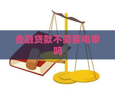 金融贷款不需要电审吗