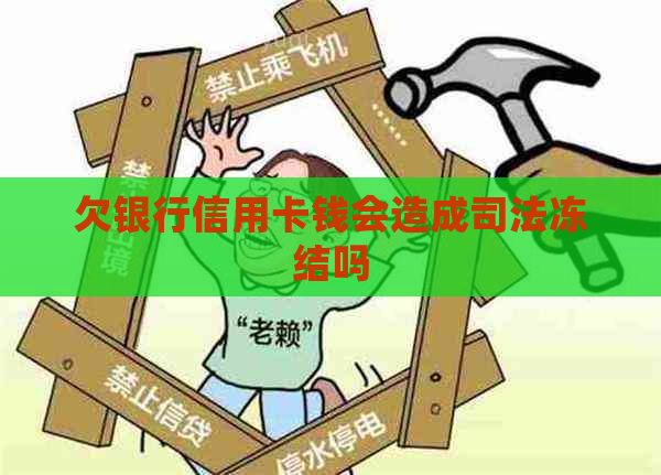 欠银行信用卡钱会造成司法冻结吗